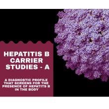 HEPATITIS B CARRIER STUDIES A