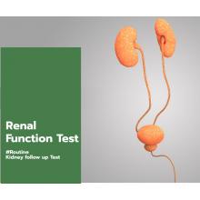 RENAL FUNCTION TEST  A