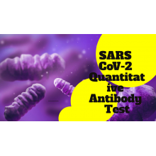 SARS CoV-2 (Covid-19) Antibody