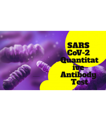 SARS CoV-2 (Covid-19) Antibody